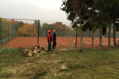 Tannen fällen